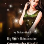 big-shots-reincarnation-sweeps-t-7305e31214-e350b290cac2a03ef3883af866ae19c5