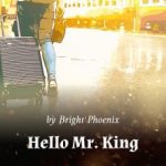 hello-mr-king-07692151f1-982fff3444b990df0f1cffd7ce01c462