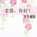 hello-wife-8c00a669da-2239c49aee6b961904acf173b7e4602a