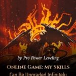 online-game-my-skills-can-be-upg-e5020b8fcb-2af7c8d072bd31ebe0120d7a0e2edf63