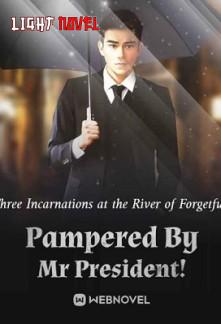 pampered-by-mr-president-9a15f666a4-db7e894b81077bdda54bb23cbfd1ead2
