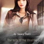 the-wife-of-the-wealthy-family-i-c15f670434-a102c28c471a00e7de4aeb953a6d0ff1-1
