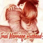 trial-marriage-husband-need-to-w-539b2f7281-2239c49aee6b961904acf173b7e4602a-1
