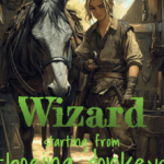 wizard-starting-from-shoeing-don-7bd11f7682-dbc0ba08dccaae77a90b99eafbd0331e-1